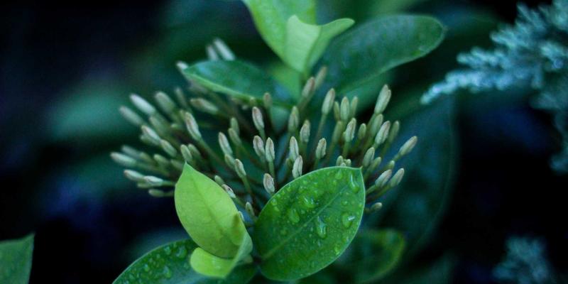 5G赋能企业转型：构建禅意设计的学习社区与资源分享新生态