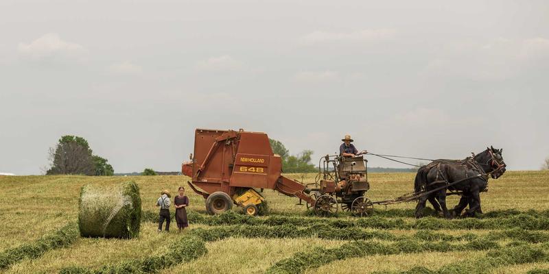 Wi-Fi 6E与频谱革命：技术博客中的禅意设计与未来资源分享