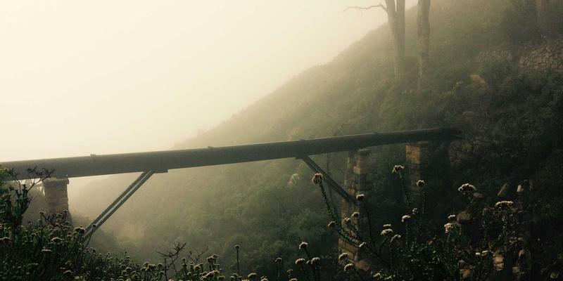 从数据到洞察：编程视角下的网络性能监控与可观测性实践指南