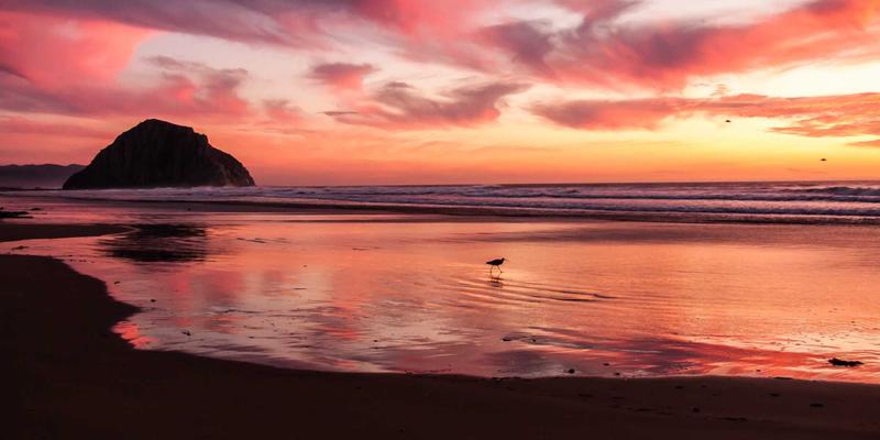 技术博客、TSSL G与学习社区：构建你的网络技术成长三角