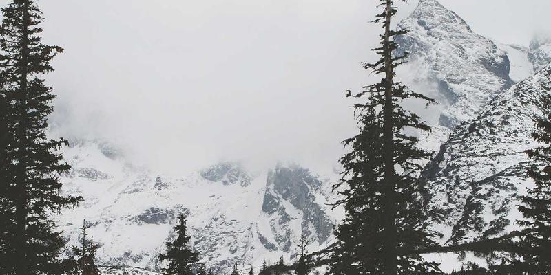 时间敏感网络（TSN）：工业自动化与车联网的神经中枢，兼谈技术博客的禅意设计与资源分享