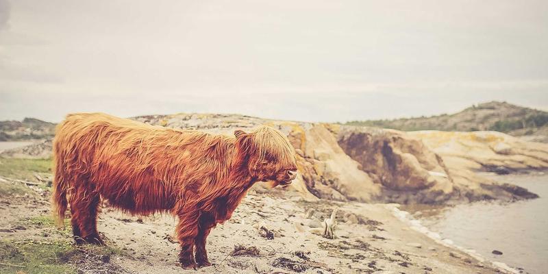 编程赋能网络：SDN如何重塑数据中心架构，为开发者与网络工程师开启新篇章