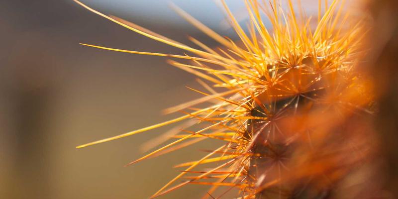 网络切片技术：5G专网赋能TSSL G学习社区与行业数字化转型的关键引擎