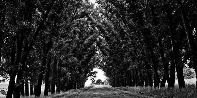 网络即服务（NaaS）：融合禅意设计的未来网络技术蓝图