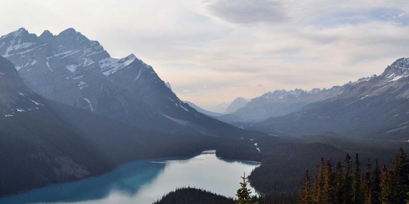 网络技术95：禅意设计、TSSL G与资源分享的融合之道