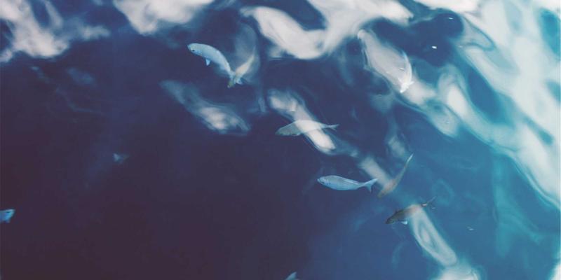 网络技术前景展望：学习社区、技术博客与禅意设计的融合之道